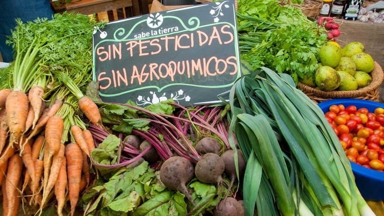 sin pesticidas